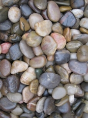 Mix Color Pebble Stone