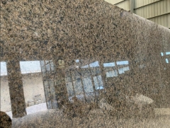 Tropic Brown Granite Big Slabs Wholesale Dalei Stone